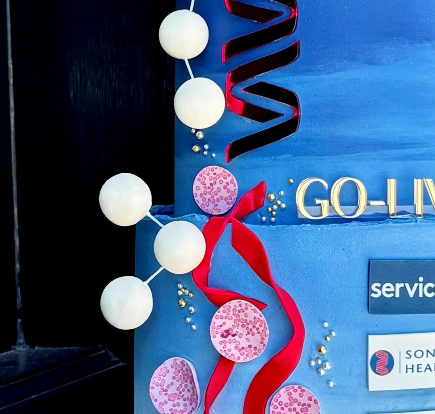 vanillapodspecialtycakes-bespokecakes-birthdaycakes-brisbanecakes-buttercreamcakes-golivecake-corporatecakes-brisbanecatering-servicenow-sonichealthcare-microscopecake.jpg