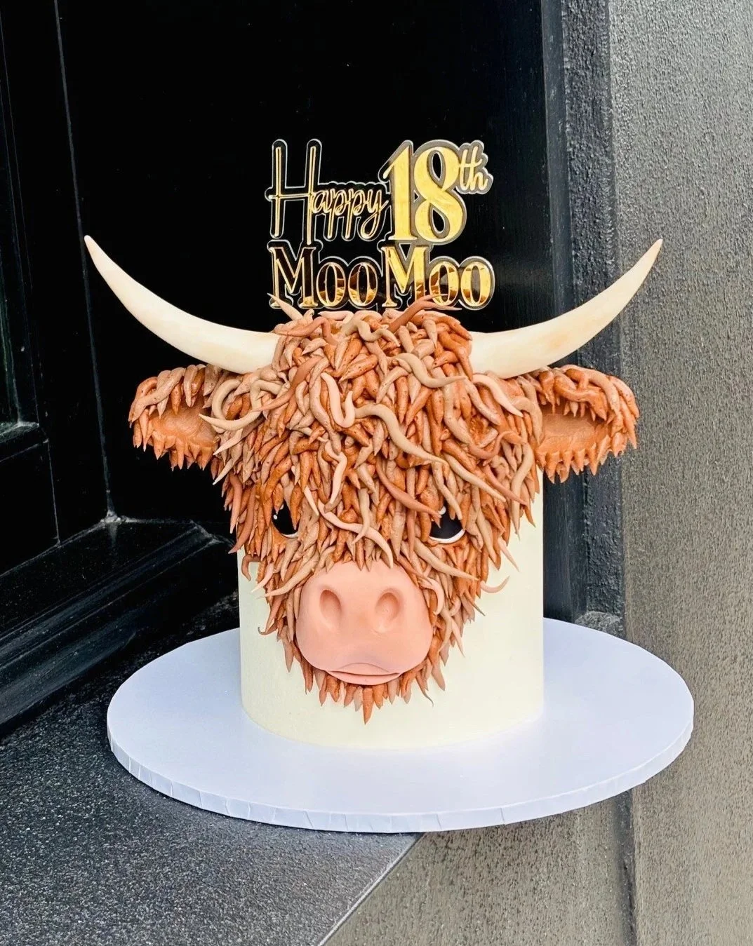 vanillapodspecialtycakes-noveltycake-kidscakes-brisbanecakes-birthdaycake-buttercreamcake-hairycoo-cowcake-hairycoocake-18thbirthdaycake-countryparty.jpg