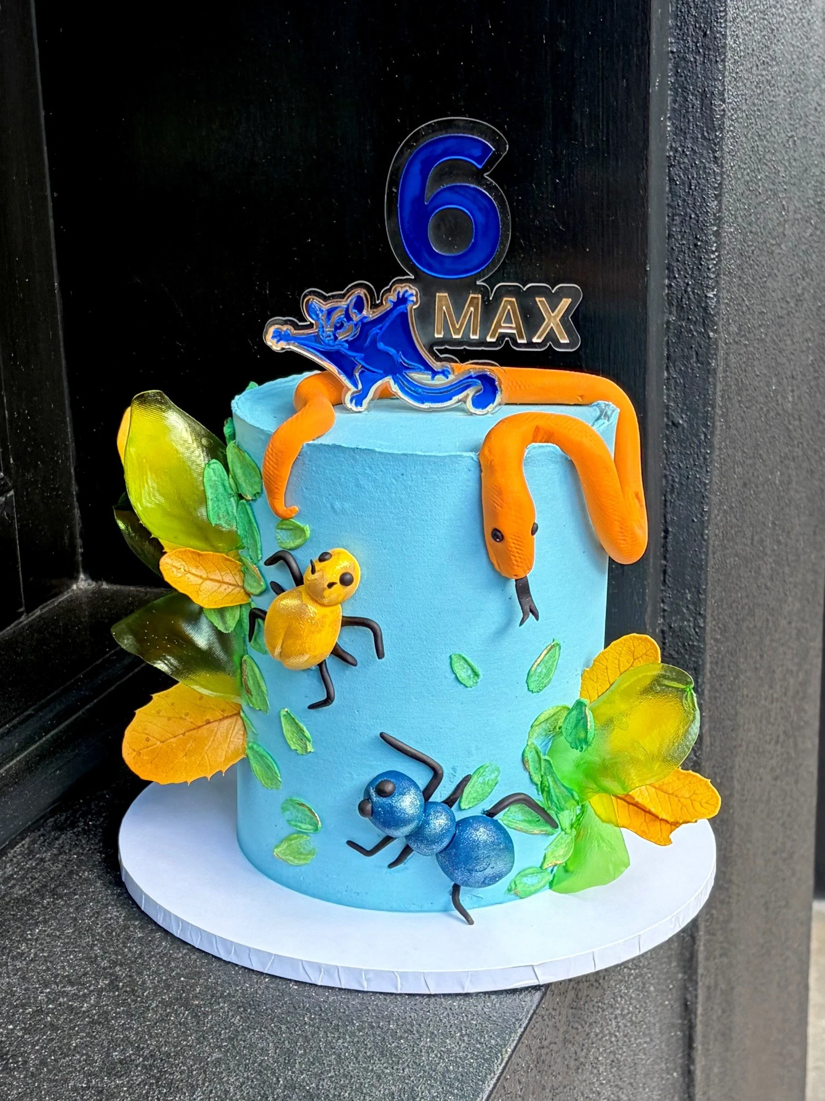 vanillapod-buttercreamcake-vanillapodspecialtycakes-brisbanecake-snakedesigncake-6yearoldcake-bugthemecake-snakethemecake-reptilethemecake.jpg