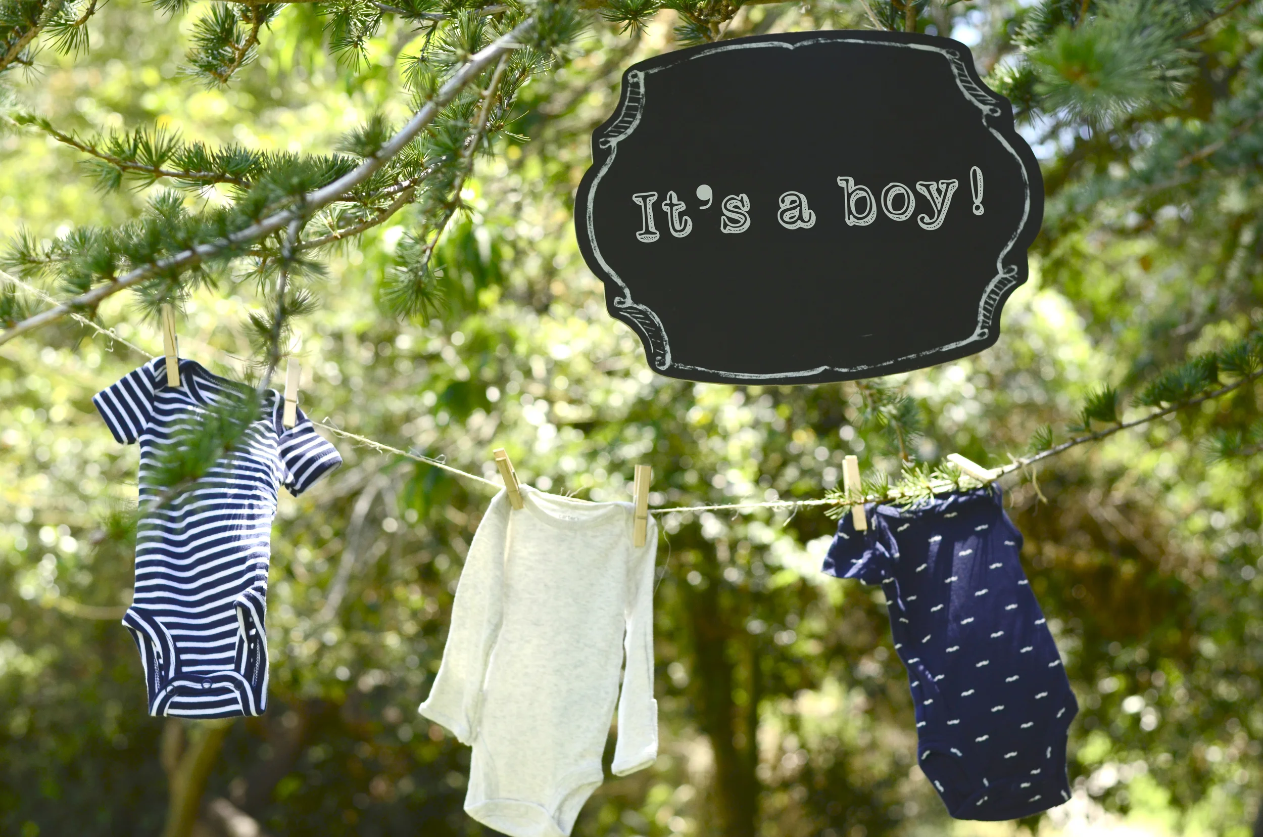 Special Occasion Photography