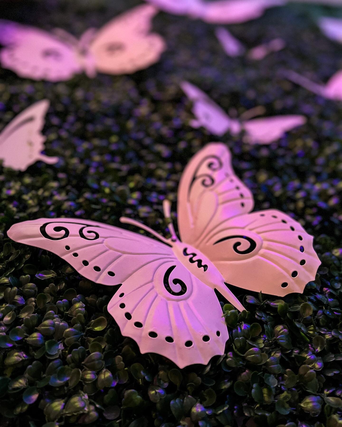 Close up of our BUTTERFLY GARDEN!!!