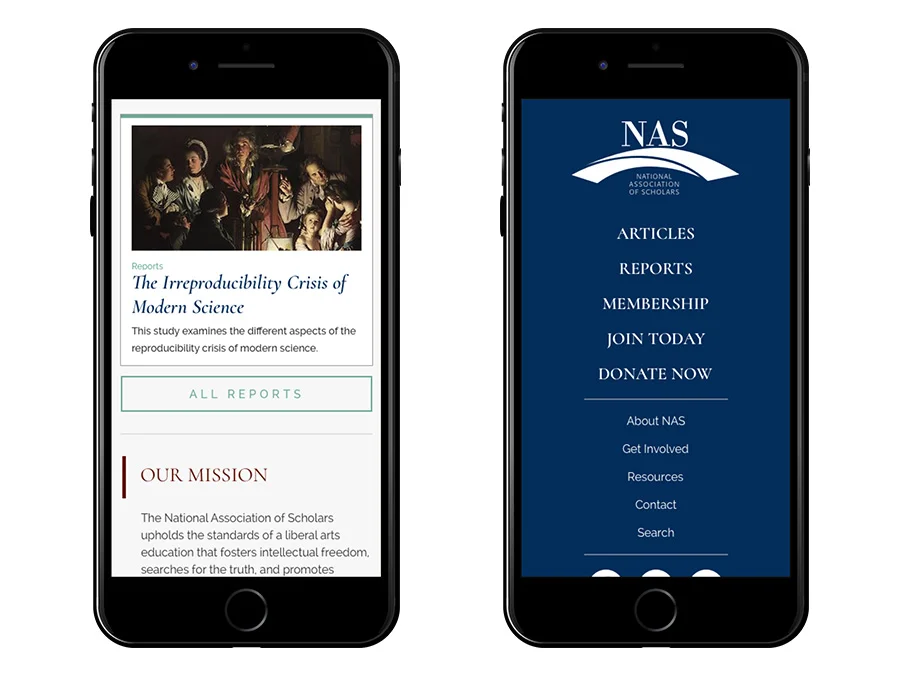 NAS-mobile-pair2.jpg