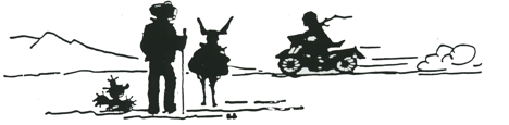 Black and White DV Logo.png