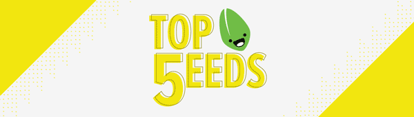Top5Seeds_EmailHeader_V1B_Yellow.gif