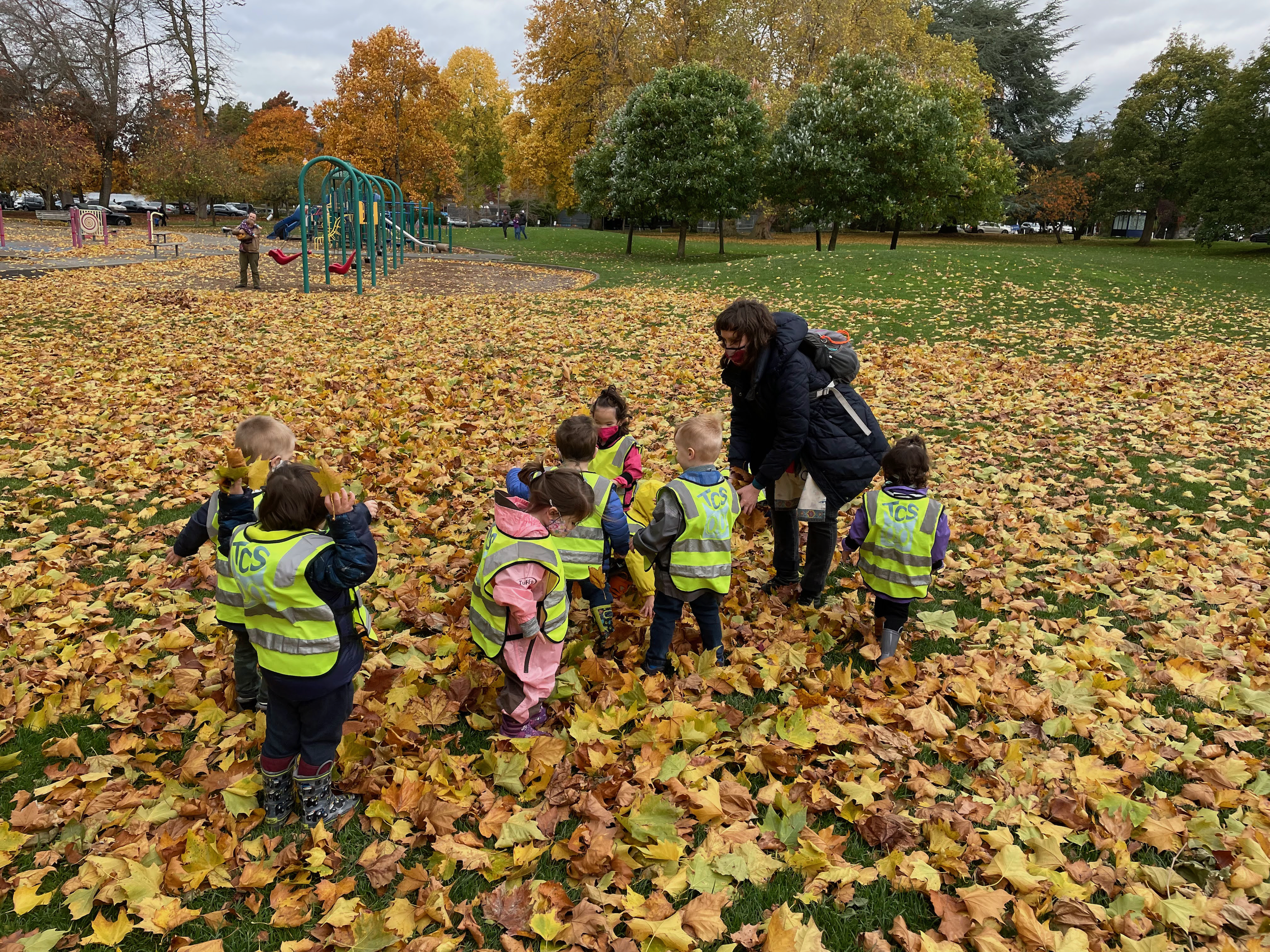  A group of toddlers playing with a teacher on a pile of fall leaves at Green Lake Park. 