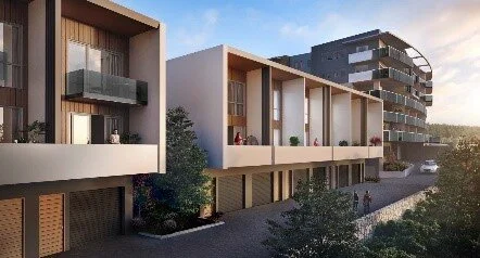 ACT Polo Article.jpg