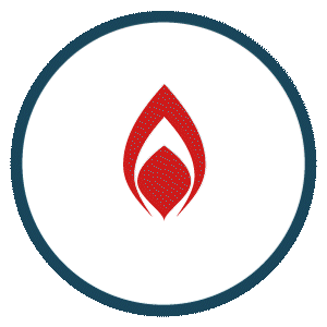 Services 101: Fire Protection