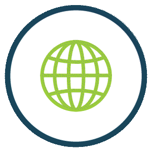 Services 101: Sustainability 