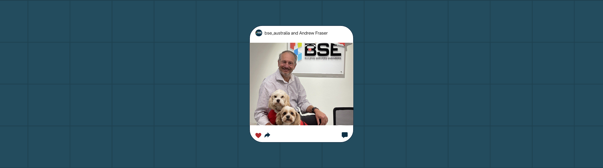 BSE Spotlight: EOY Wrap With Andrew Fraser