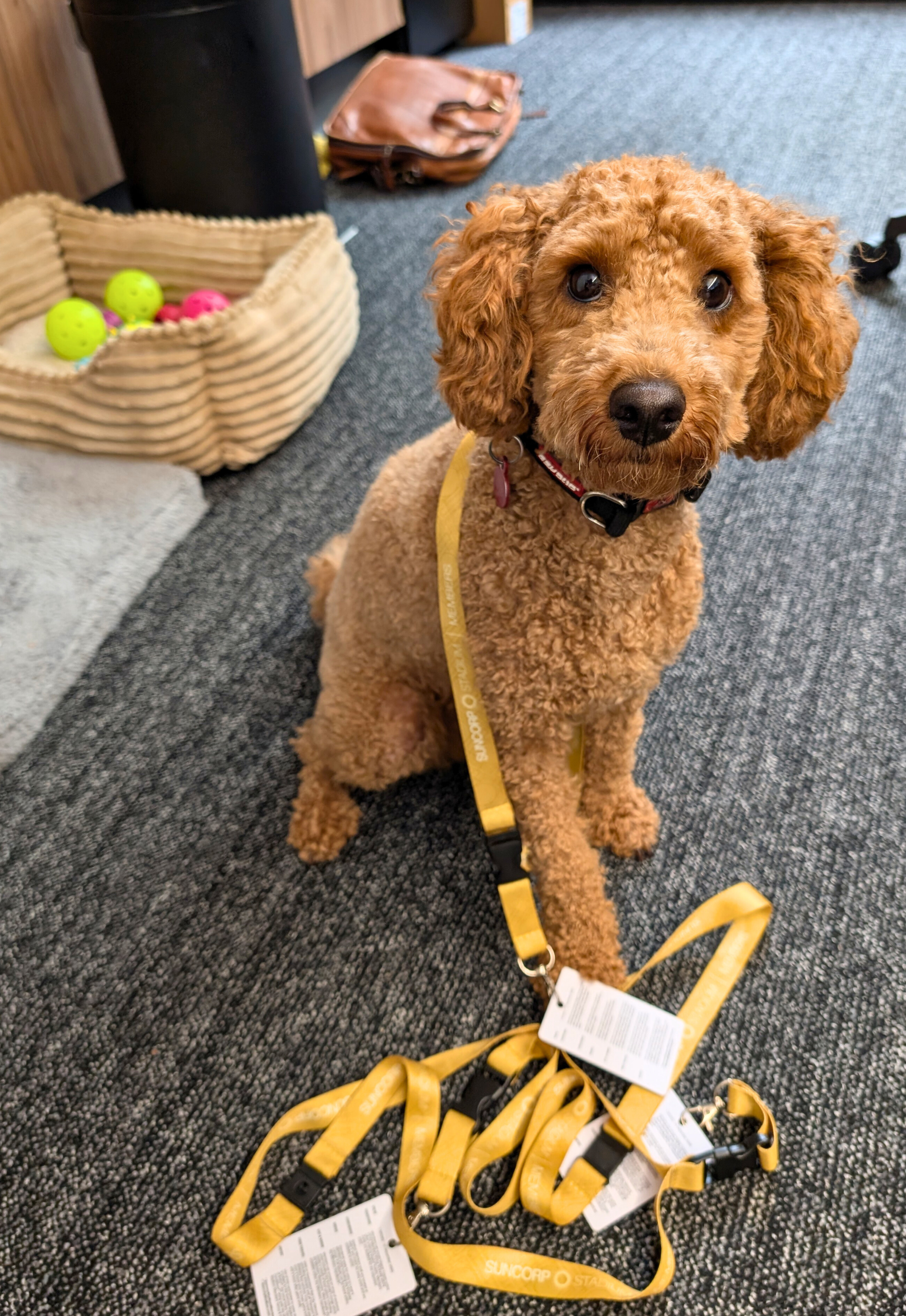 Job Openings at BSE | January 2026