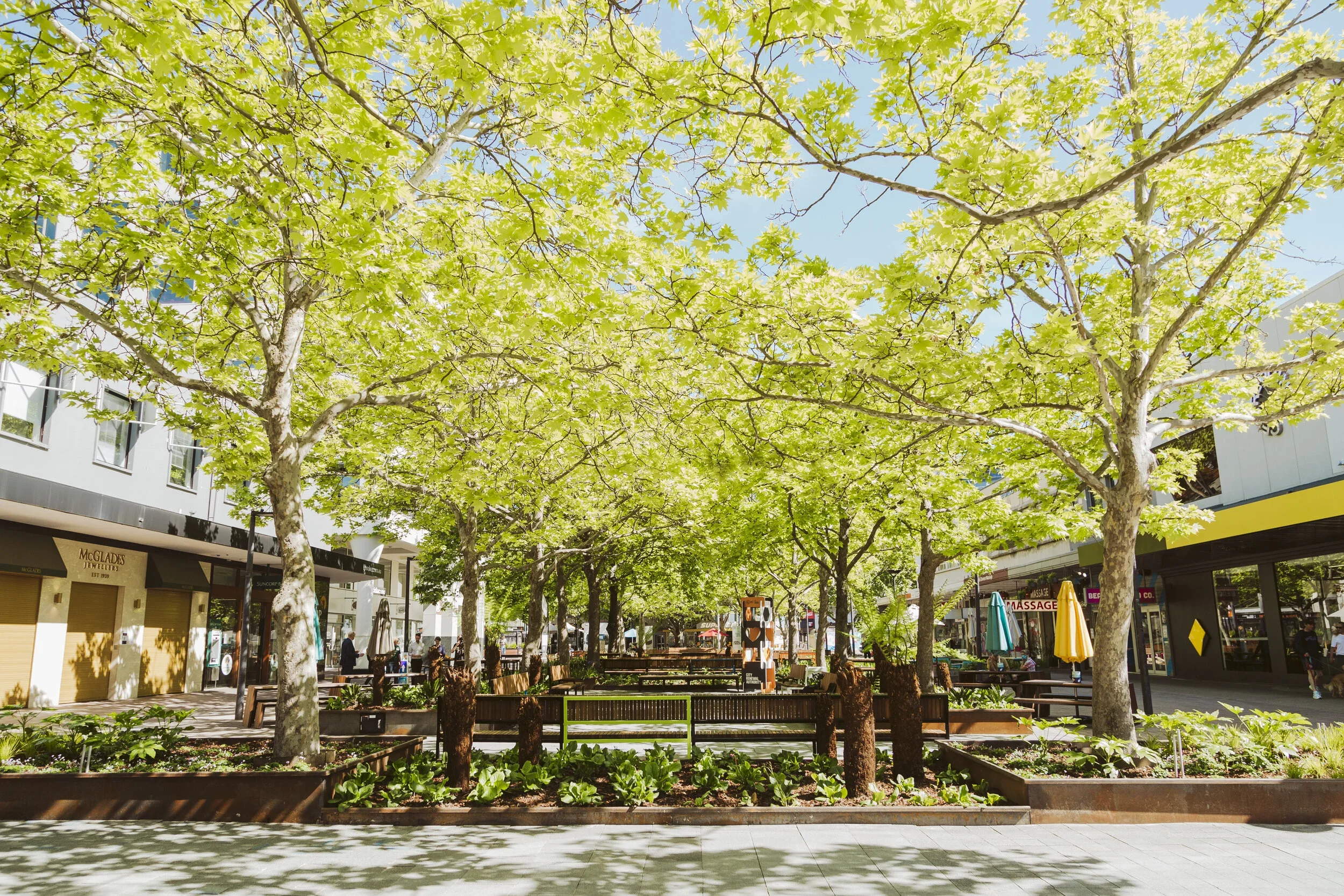 BSE News | ACT Government Prequalified