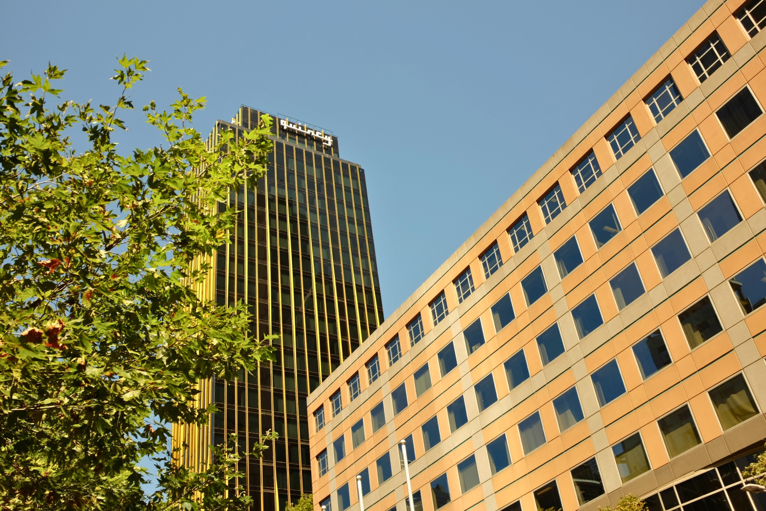 Sustainable Hospitality at the Quincy Hotel Melbourne