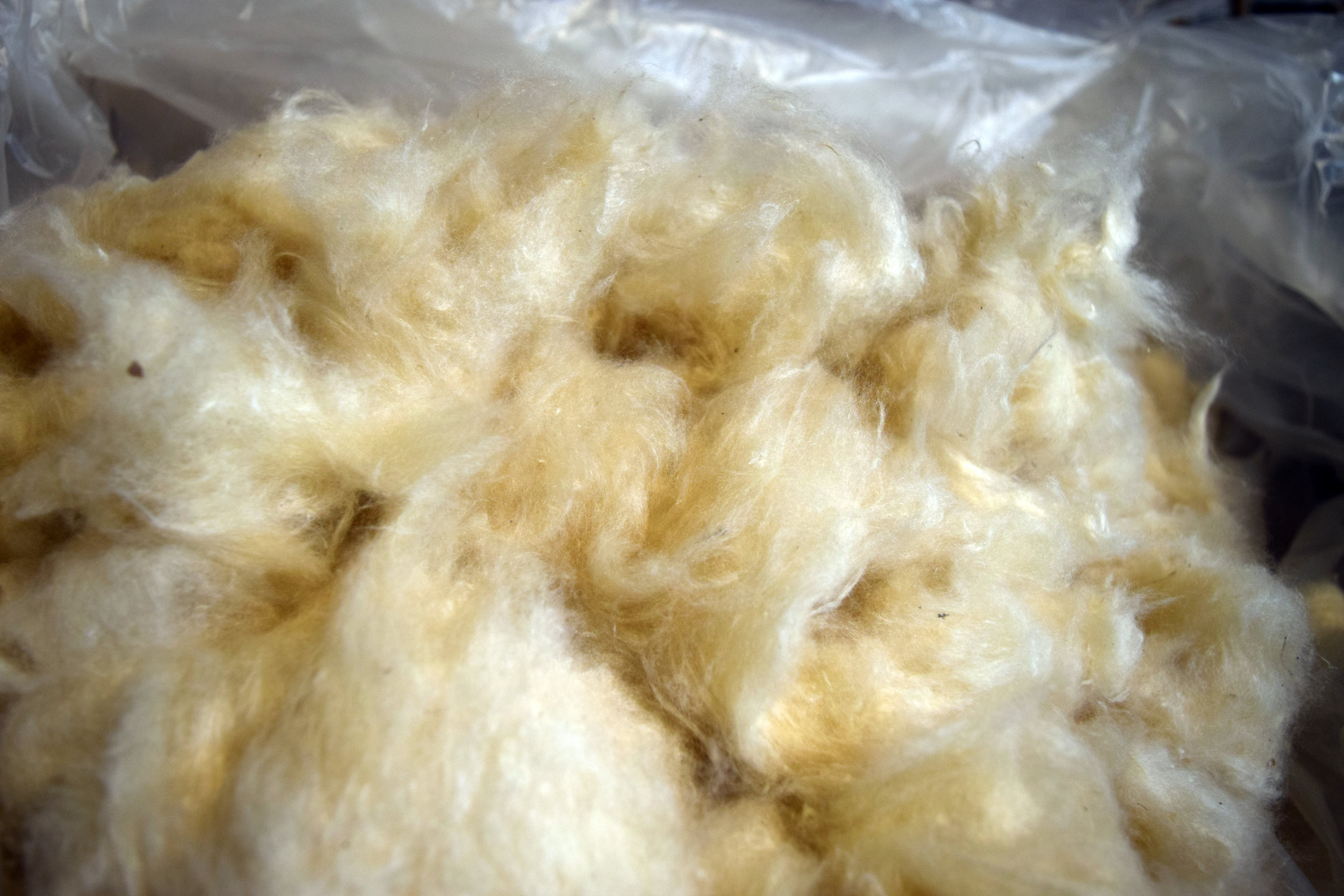 Kapok - a natural fiber that has been tried and tested for thousands o –  Lotuscrafts
