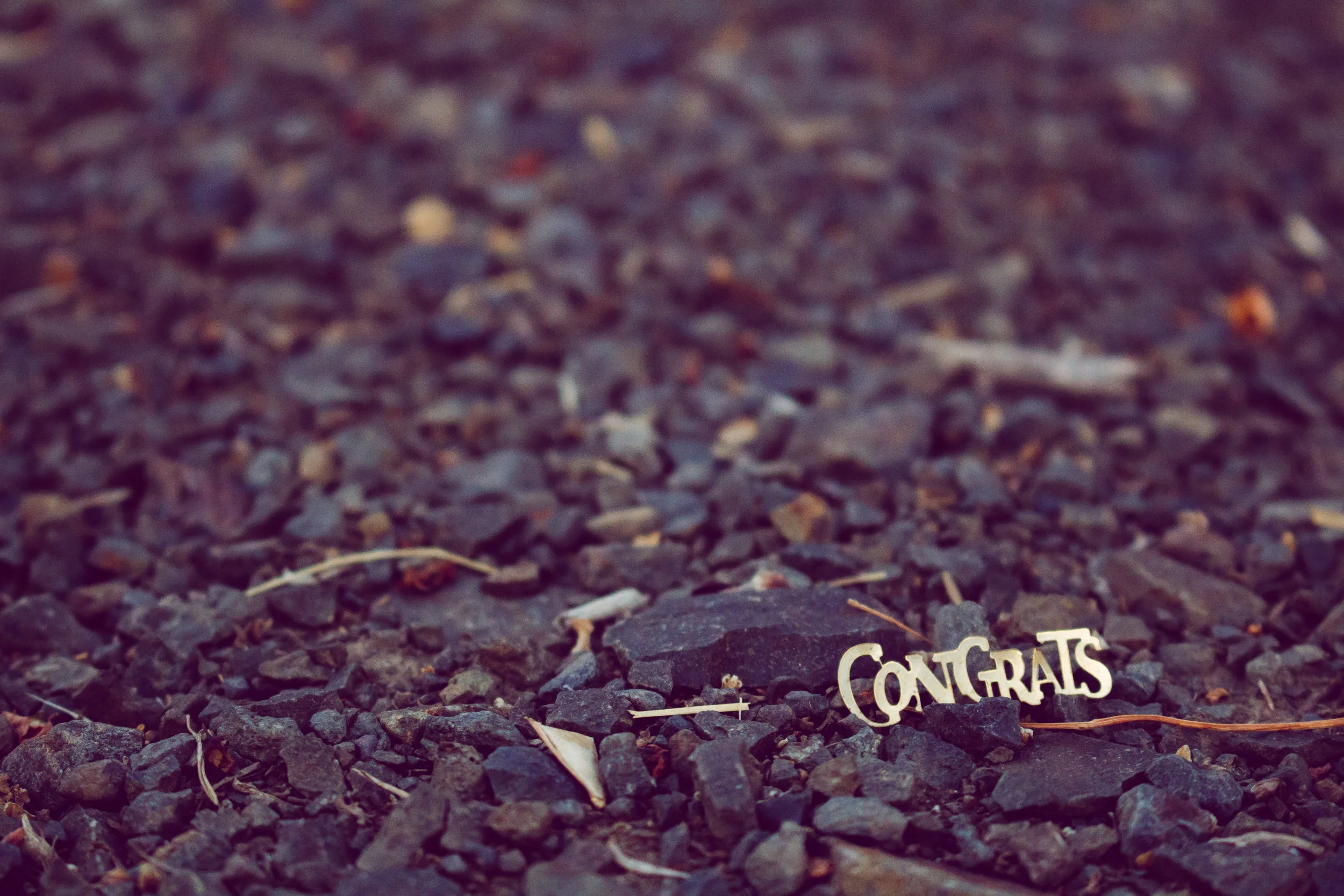 Fall 2019 Mini-Grant Recipients Announced!