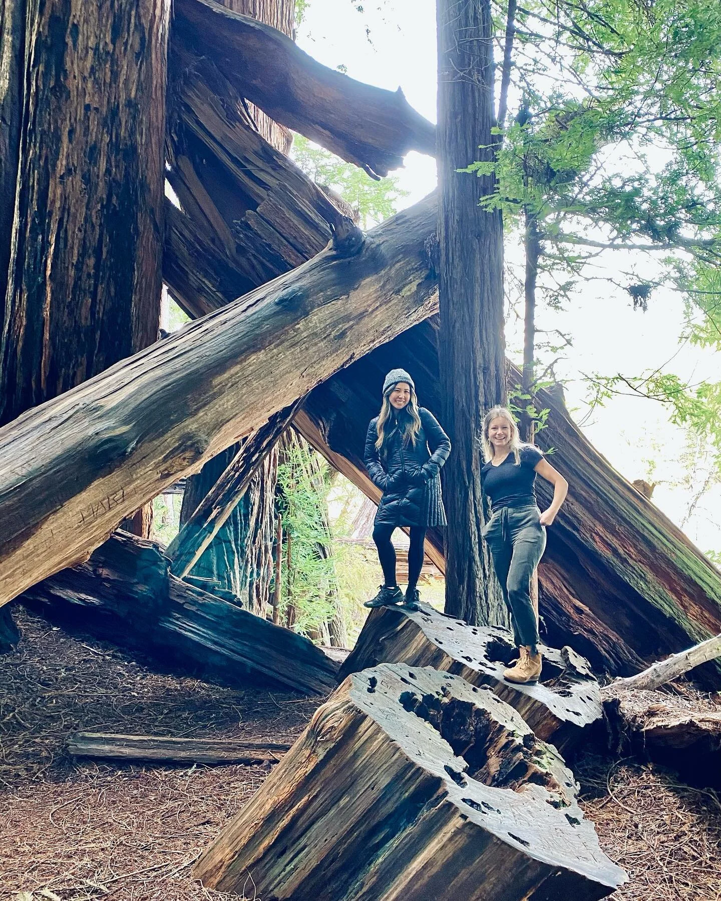 Our castle in the trees 🌟🌲🌟