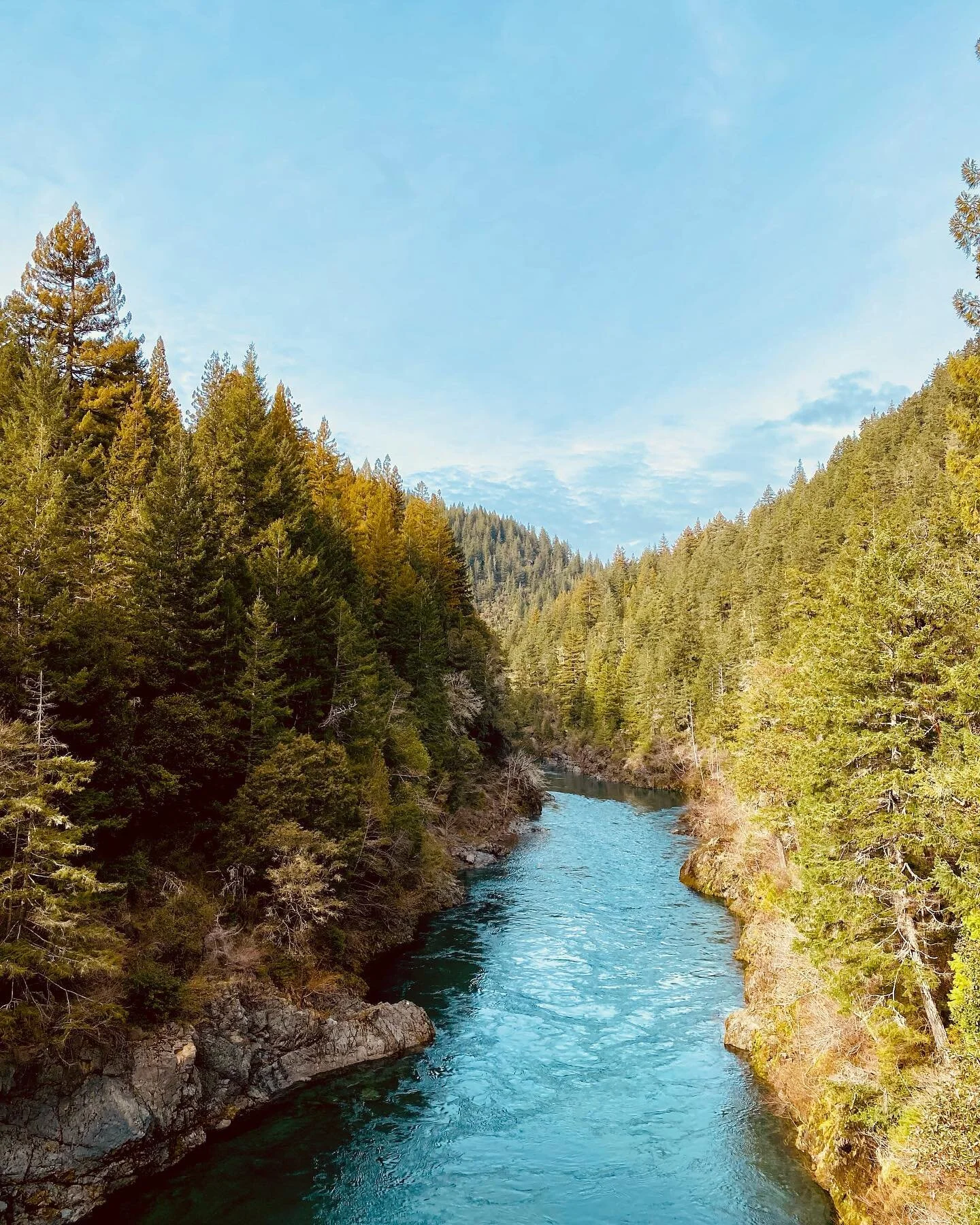 Last week was hands down a 10/10. Spent some time along the northern border of California, celebrating two wonderful humans @awkotacoolivia @ryanerp2 and caught a few memories along the way. Here&rsquo;s to the new Mr &amp; Mrs Erpelding &mdash; cong