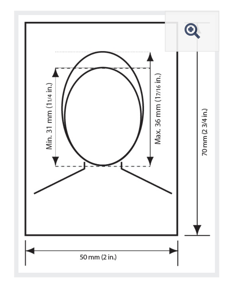 Technical drawing showing dimensions of an oval shape, with labels indicating minimum height 31mm, maximum height 36mm, overall width 50mm, and overall height 70mm.