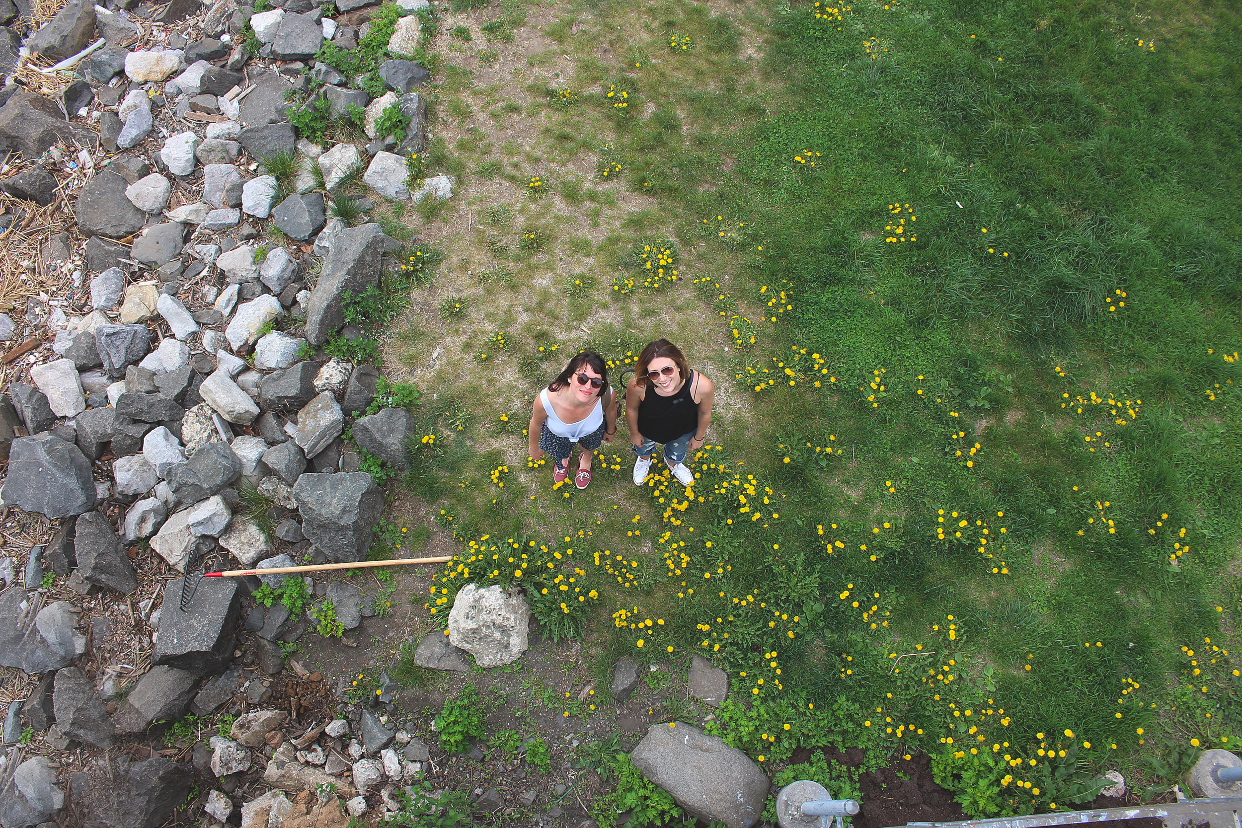 Marin and Allison - grass.jpg
