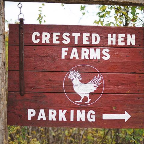 Crested Hen Farms