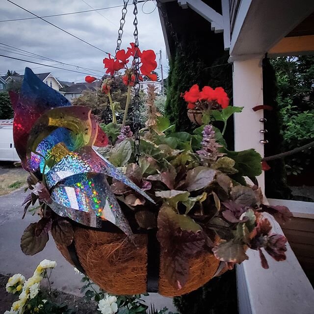 New hanging planters are finally up! #splashofcolor #florals #homegarden