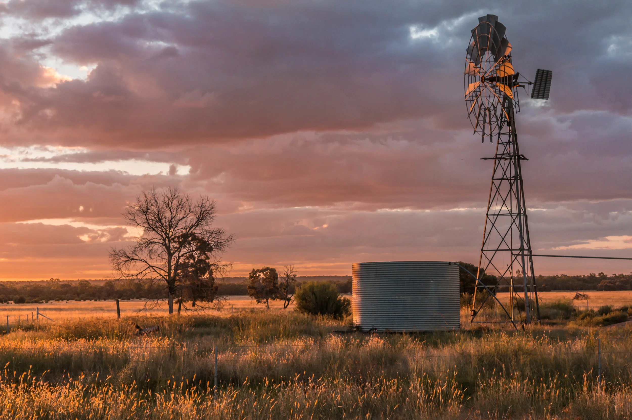 Another_windmill[1].jpg