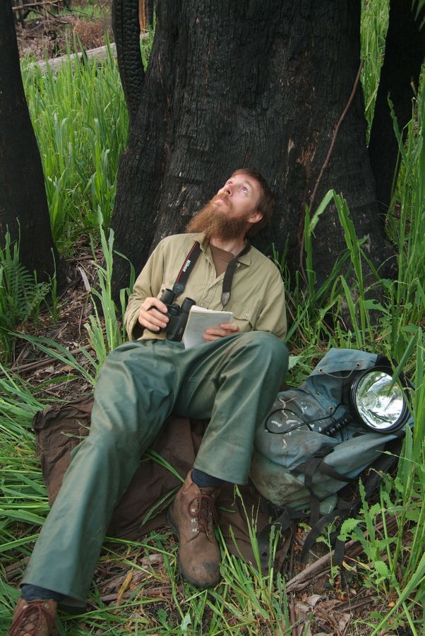 The method of stagwatch surveys hasn’t changed since the study began. At dusk, researchers sit at the base of a stag tree and watch for emerging possums, gliders and owls. Here, I'm surveying a recently burnt patch of forest.
