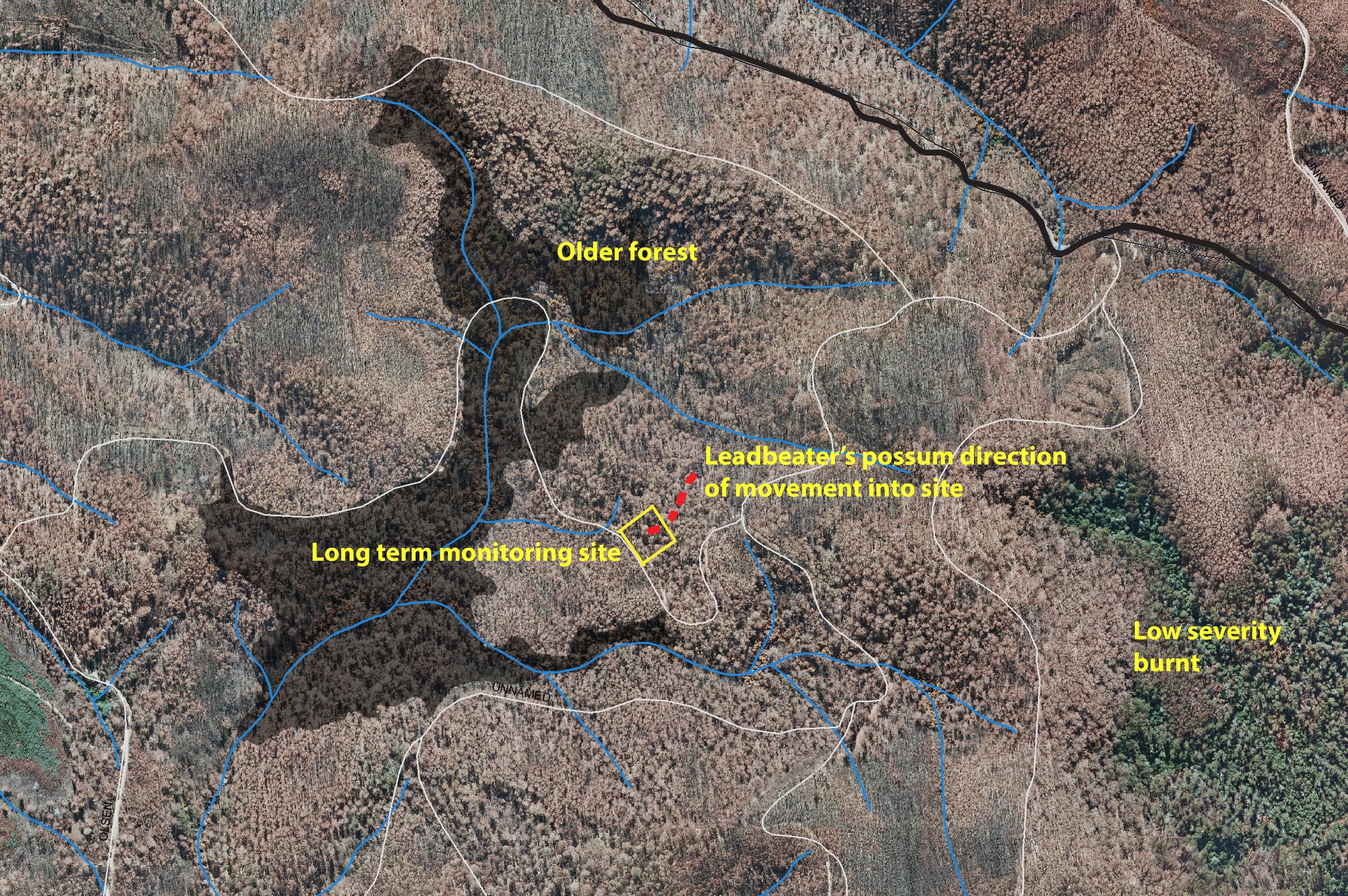 The Ash forests of the central highlands of Victoria are covered with complex layers of fire history. This map shows that although the majority of the area around the monitoring site was severely burnt in the 2009 Black Saturday fires, there are areas of older forest and lower severity burns close to the monitoring site.