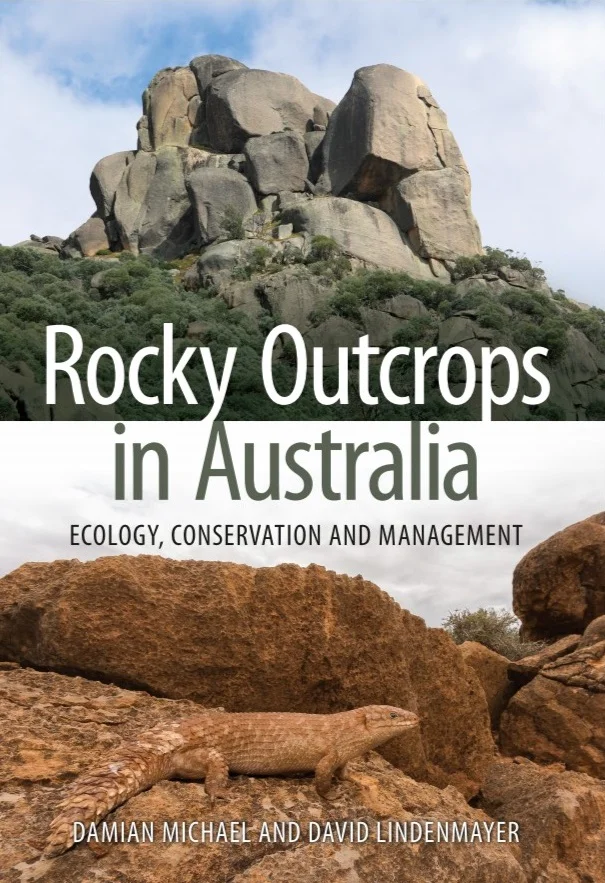 Rocky outcrop book.png