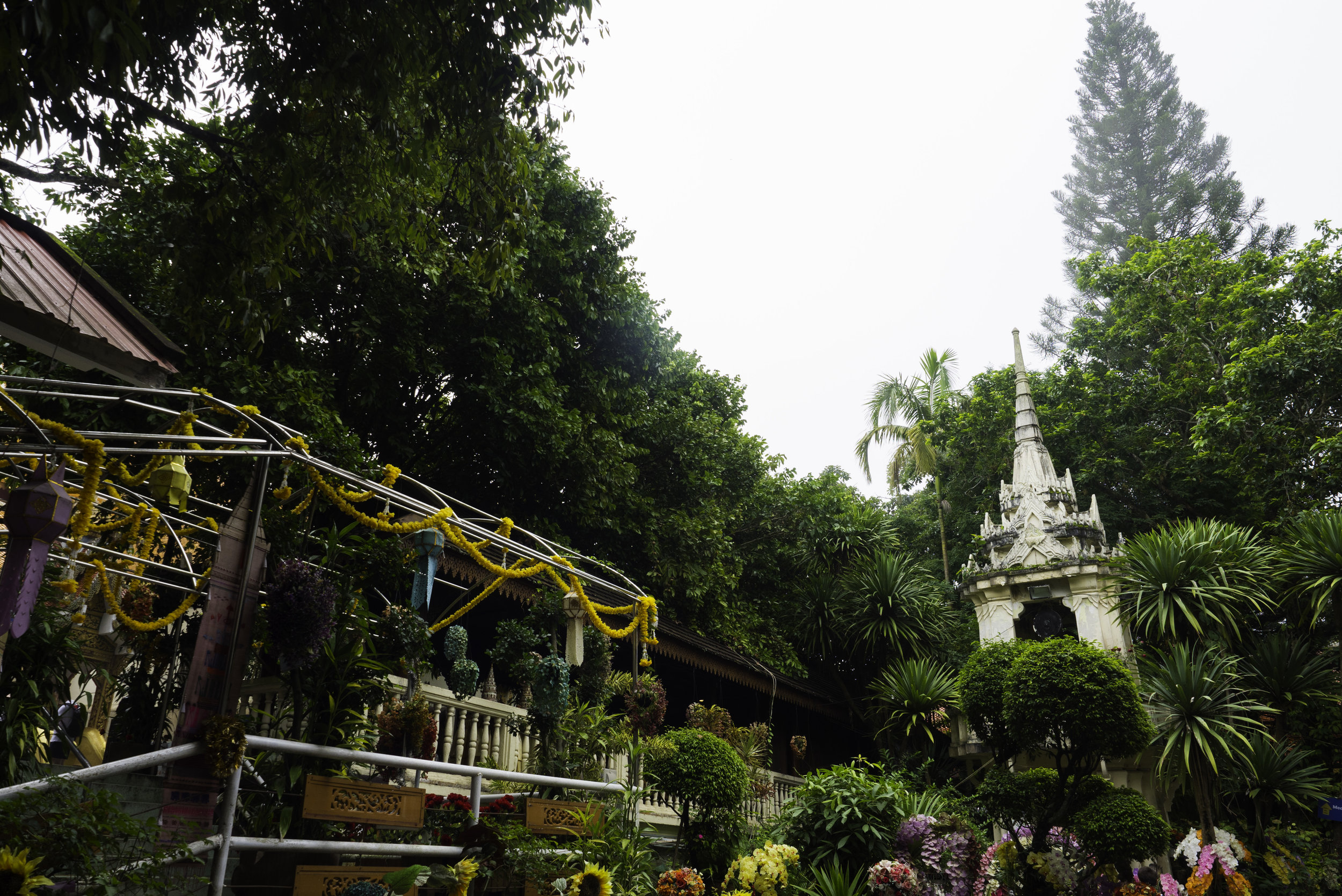 5 Chiang Mae 7-19-2018.JPG