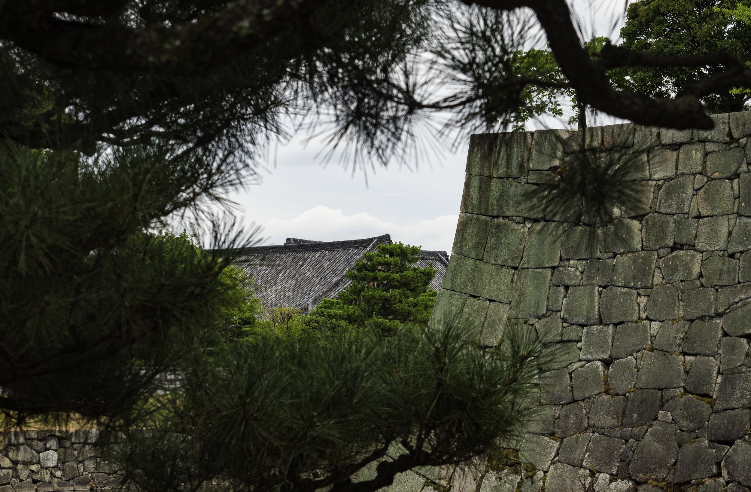 25 Kyoto 7-28-2018.JPG