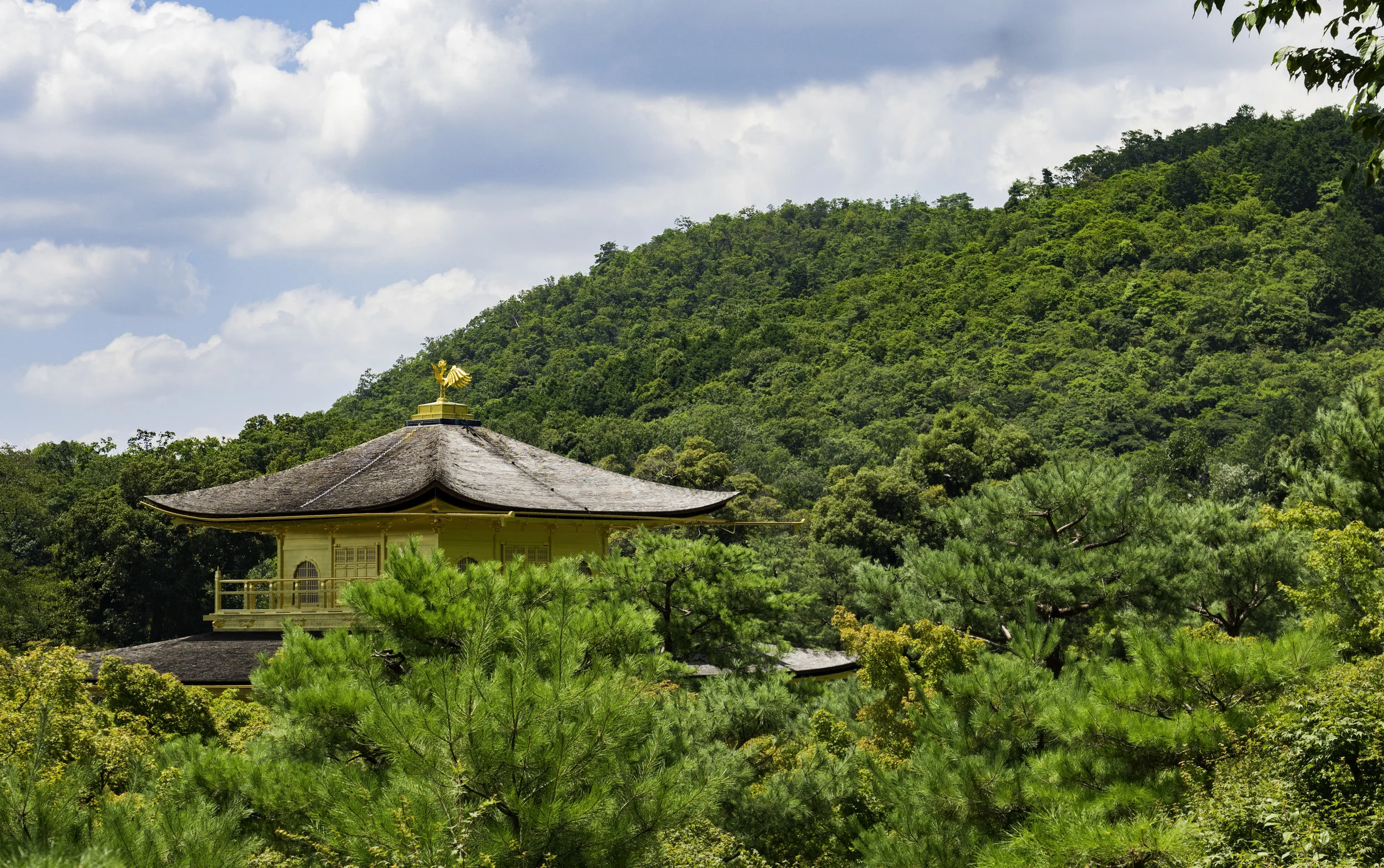 15 Kyoto 8-1-2018.JPG