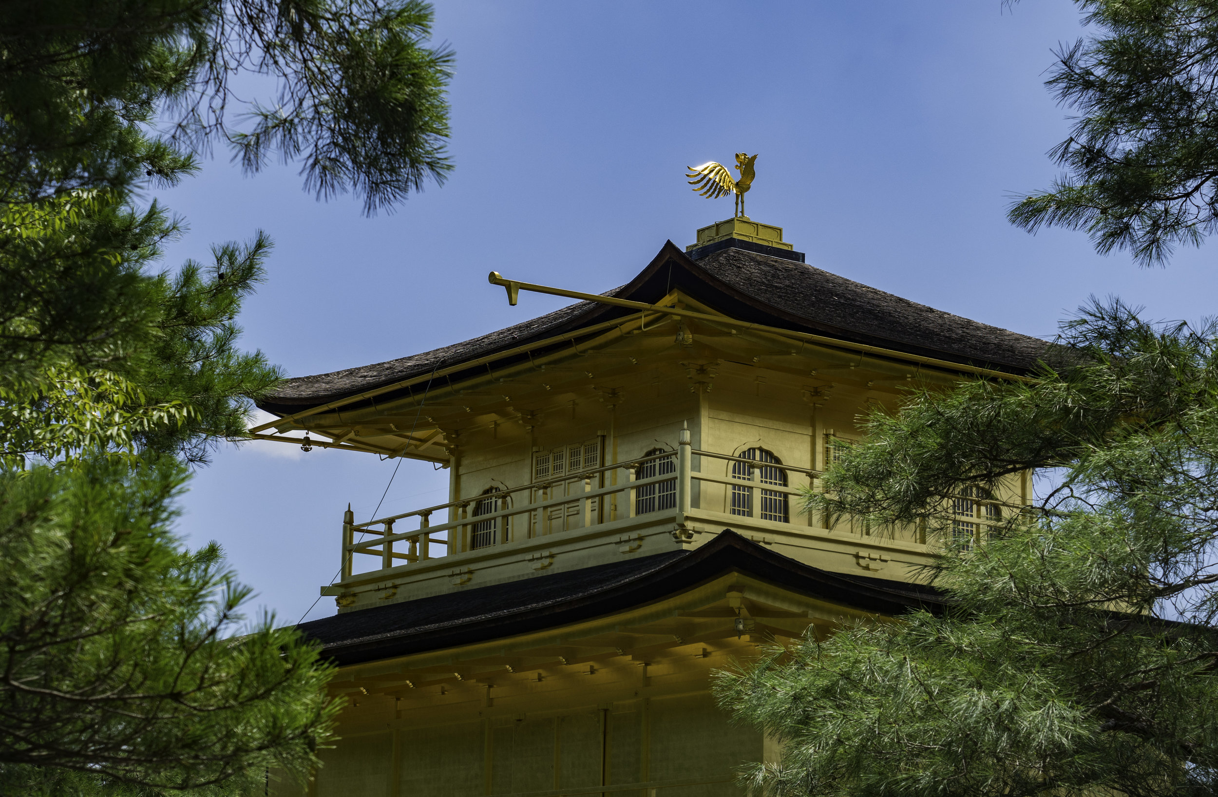 11 Kyoto 8-1-2018.JPG