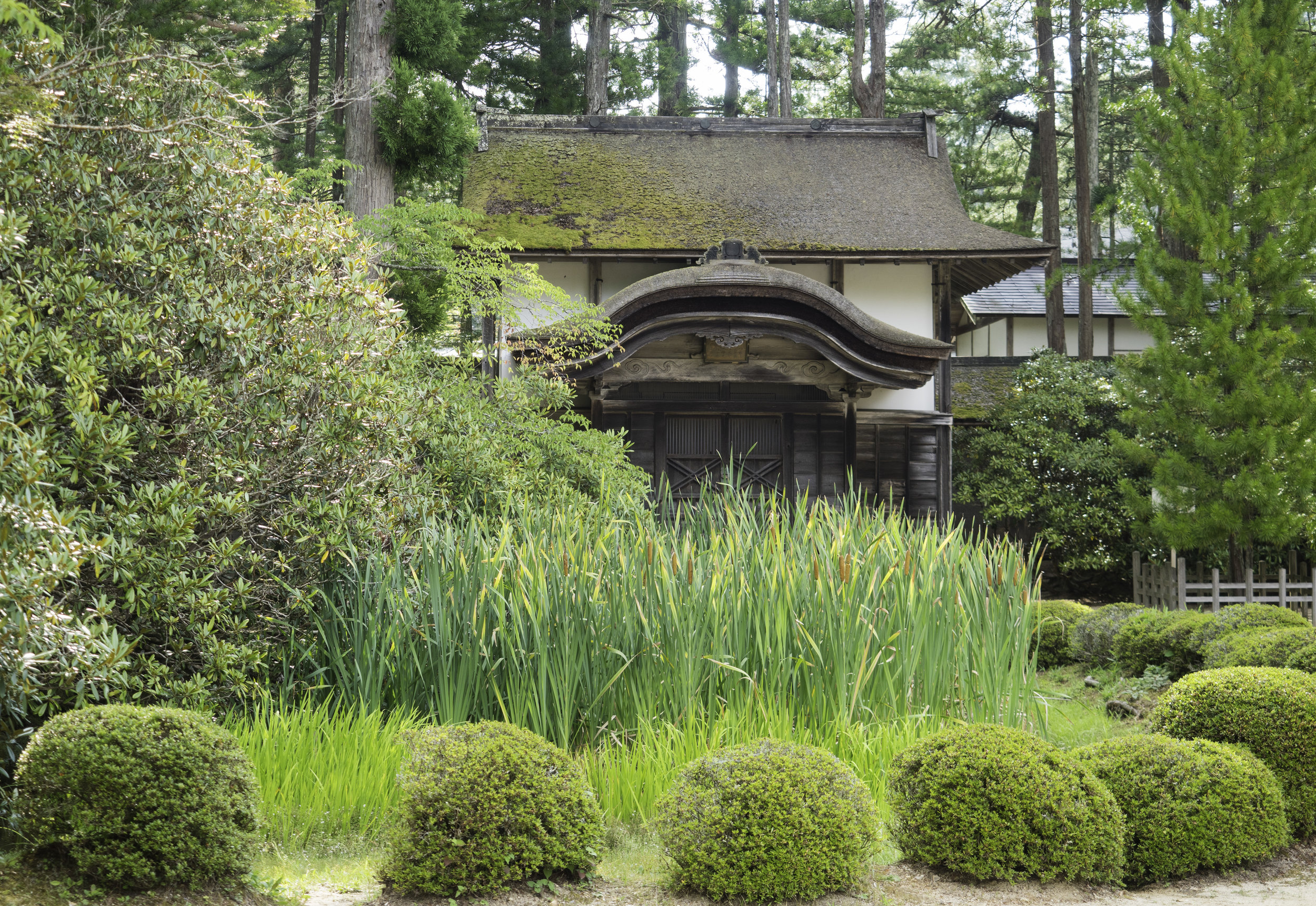 6 Koyasan 8-2-2018.JPG