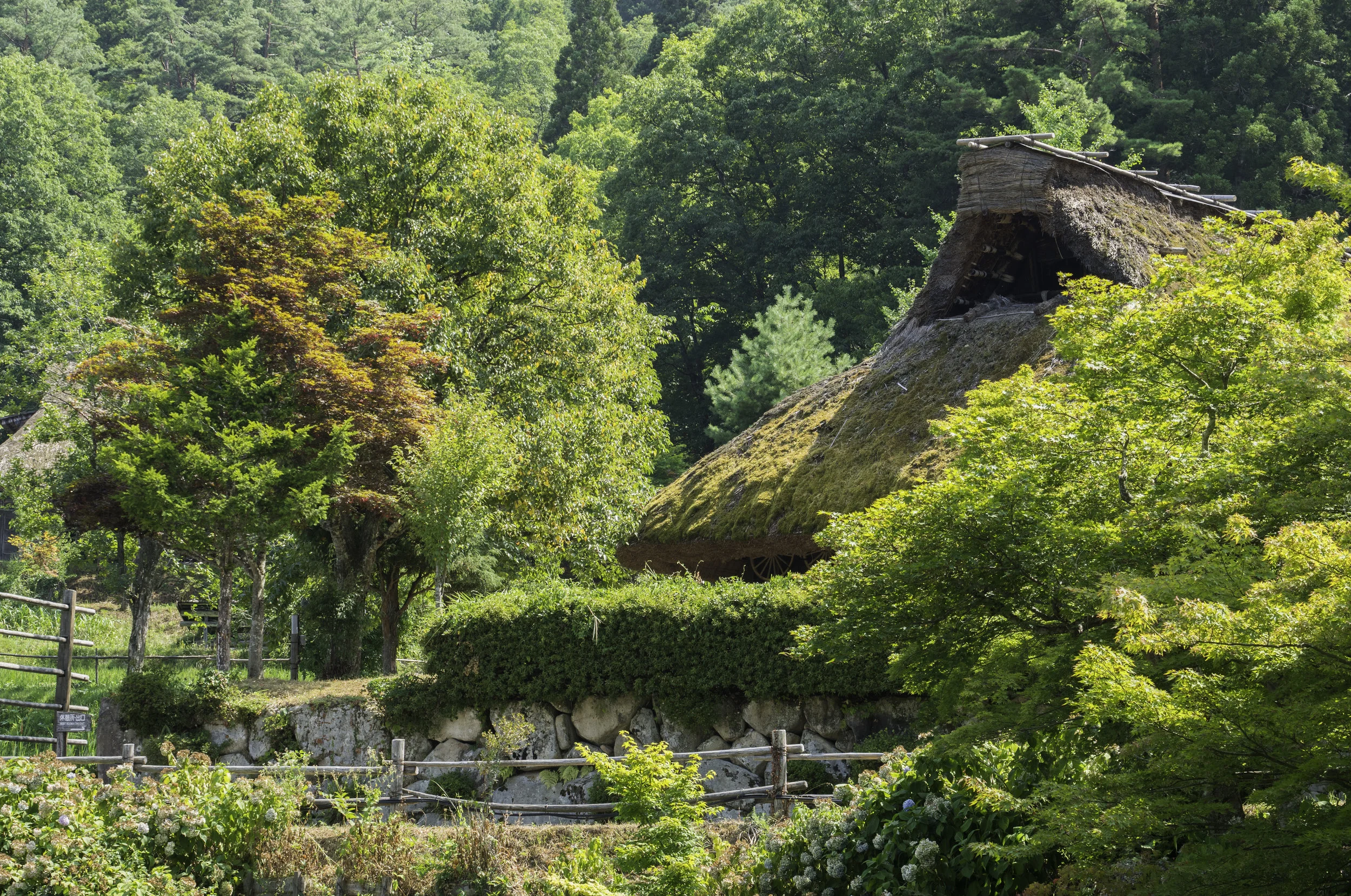 3 Takayama 8-5-2018.JPG