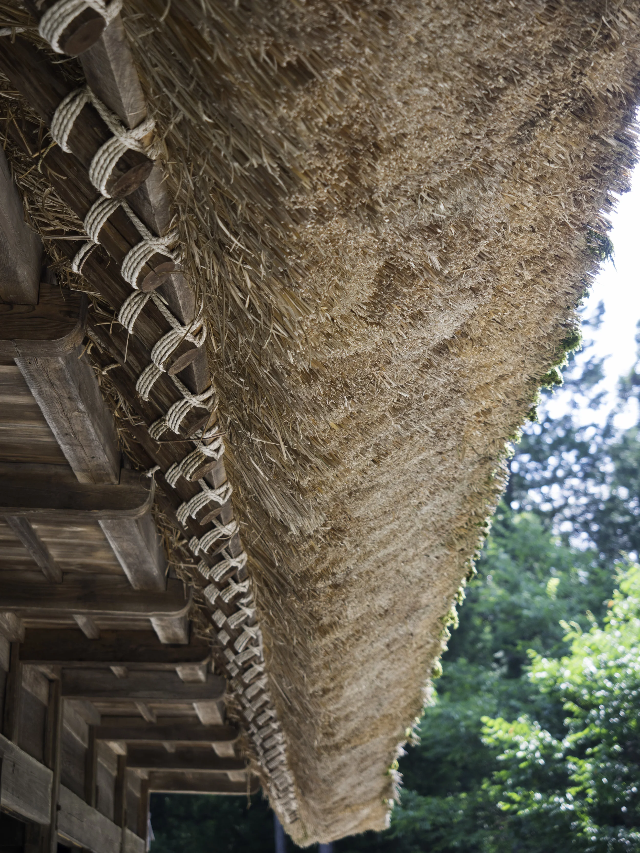 22 Takayama 8-5-2018.JPG