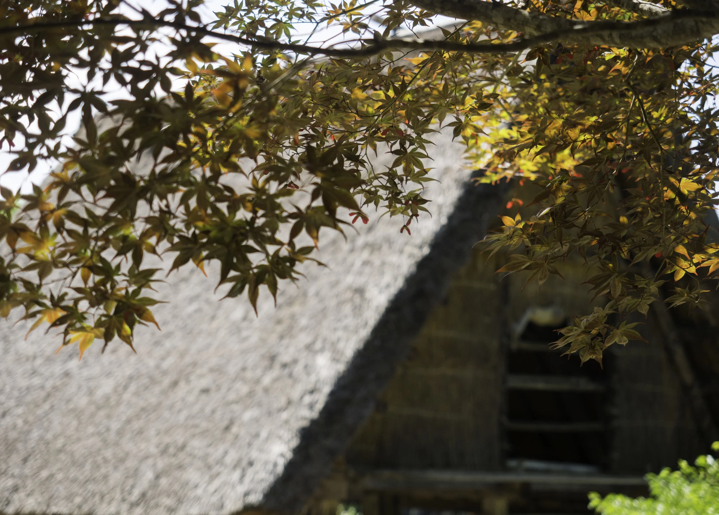 30 Takayama 8-5-2018.JPG