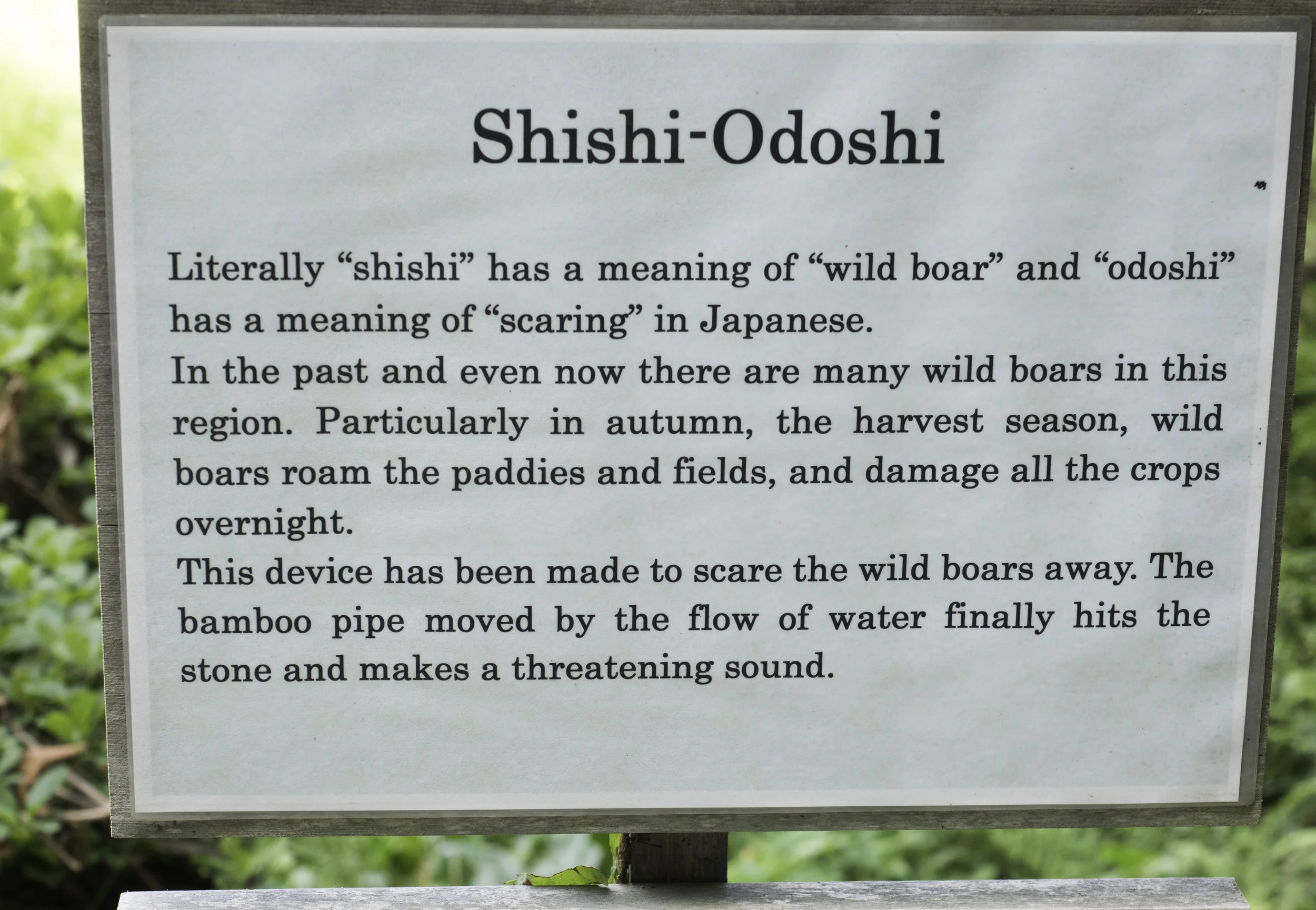 42 Takayama 8-5-2018.JPG