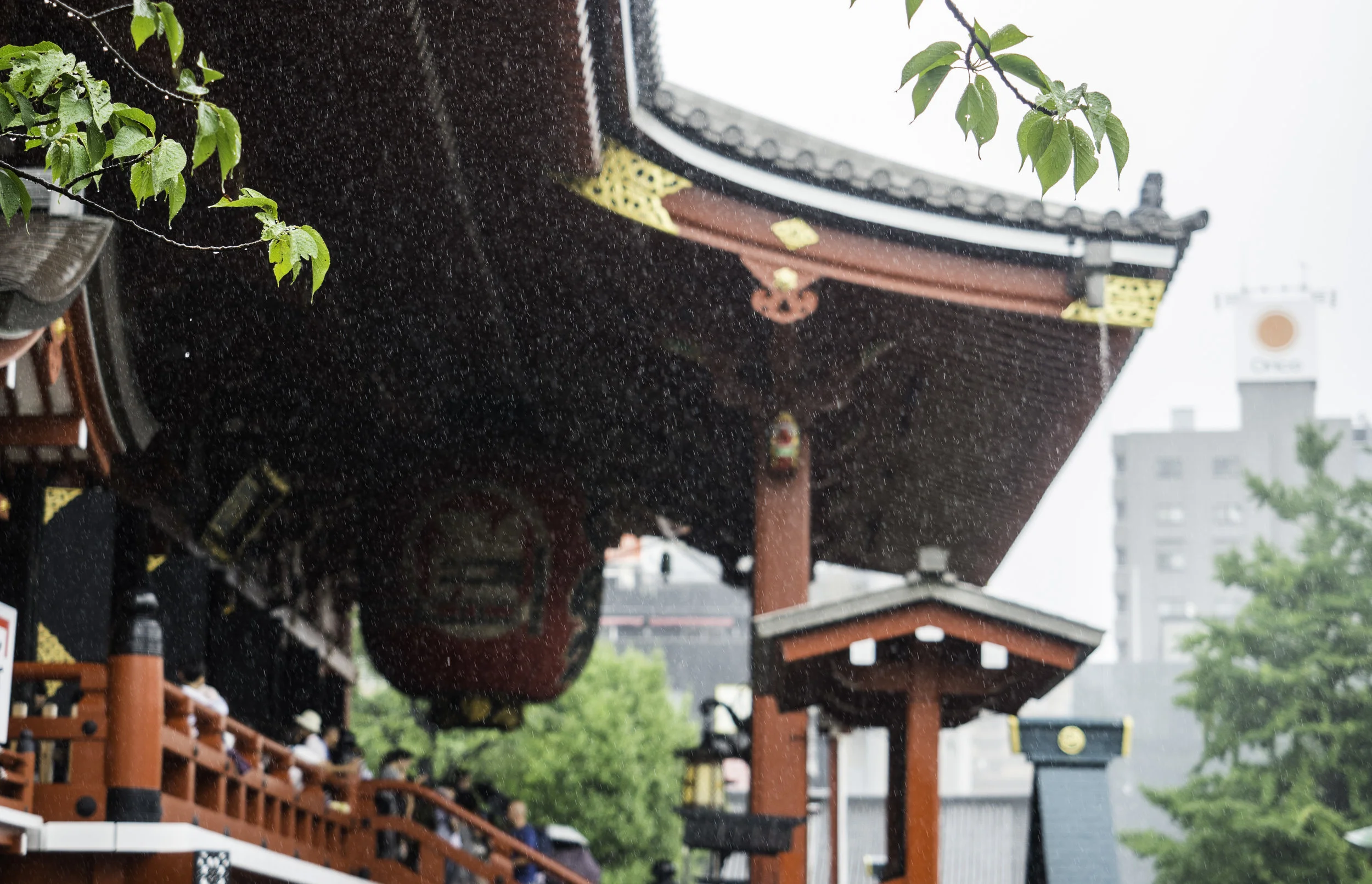 23 Tokyo 8-8-2018.JPG