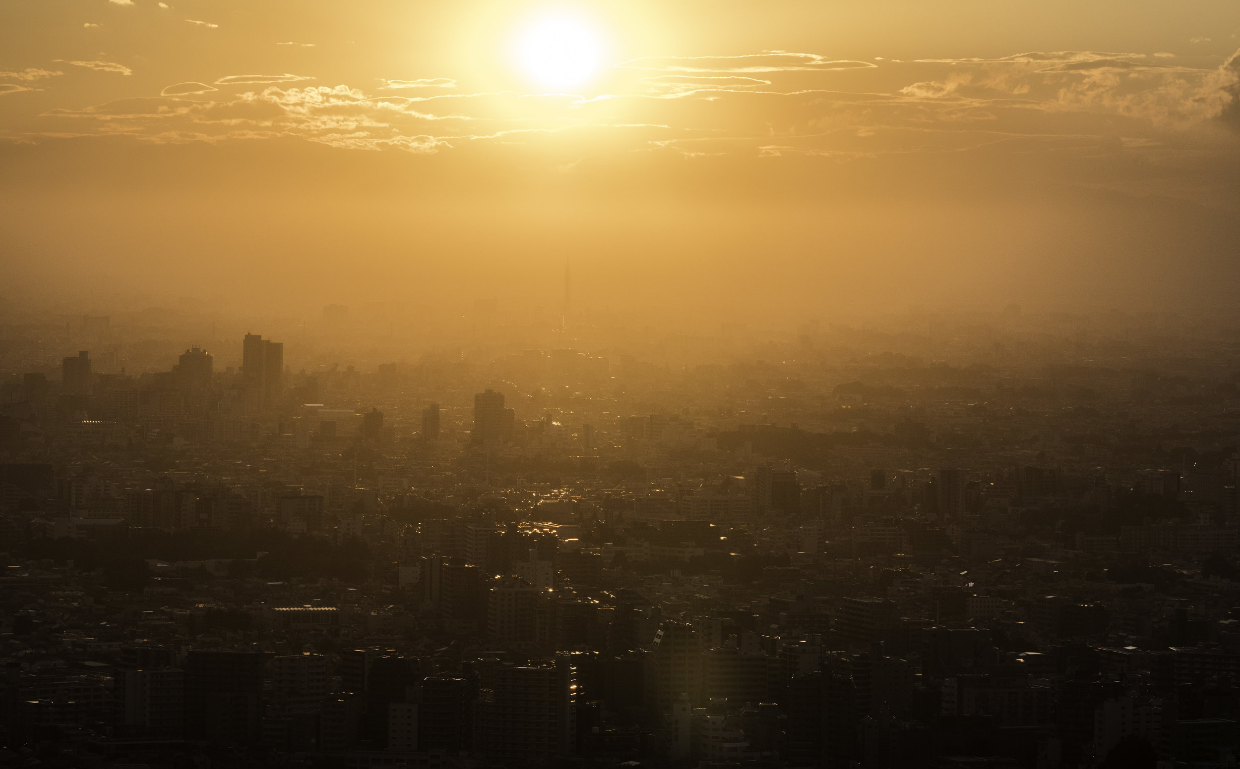 18 Tokyo 8-9-2018.JPG