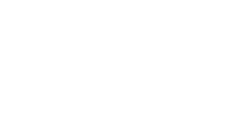Connors & Company