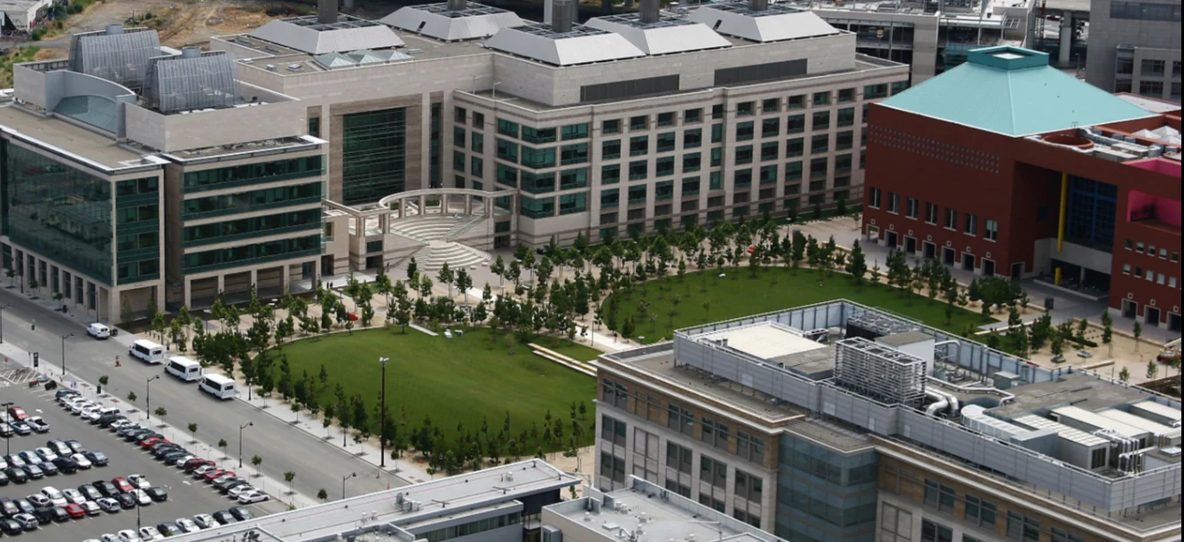 Mission Bay Picture.jpg