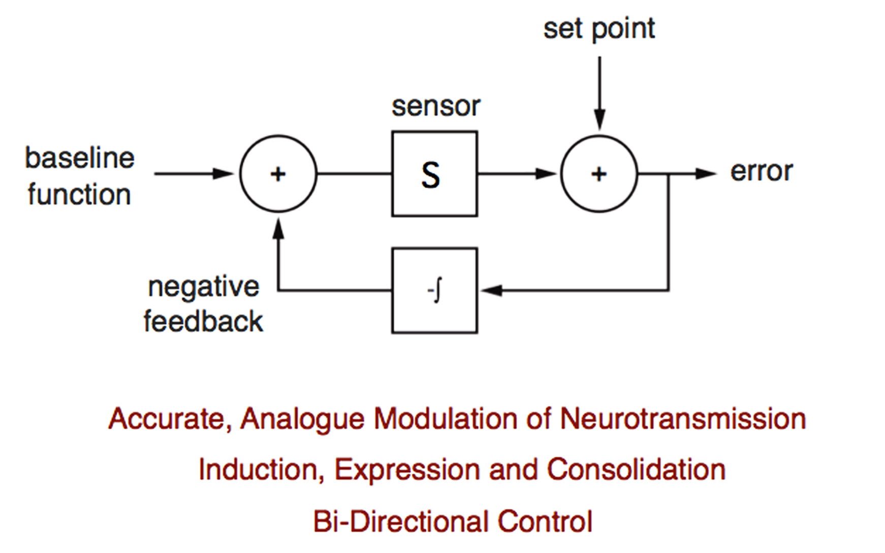 Homeostatic signaling systems are built upon feedback control. A simplistic signaling system is diagrammed to illustrate how much remains to be learned. Baseline neural function is detected by a sensor. The information from the sensor is compared to the cell set point, which is genomically defined. If the sensor and set point differ, an error signal is produced, integrated over time and fed back into the system as negative feedback. If the error is offset to zero, perfect homeostasis is achieved. We do not know the nature of a true sensor for neural activity, nor do we know how this information is communicated to a genomically defined set point. Therefore, the chemical identity of the error signal and the nature of signal integration remain unknown. Ultimately, cellular and molecular mechanisms must be able to explain the concepts defined in red. Recent work has highlighted the first mechanisms responsible for the bi-directional control of neurotransmission (Gavino et al., 2015). Additional work has defined mechanisms for the analogue control of presynaptic release (Younger et al., 2013). We have begun to define the intercellular signaling systems that achieve homeostatic communication between cells in the nervous system (Wang et al., 2014; Harris et al., 2015). 