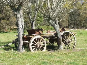 A farm in Cathcart.
