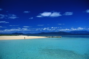 Life in the tropics.