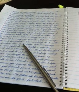  My daily notebook