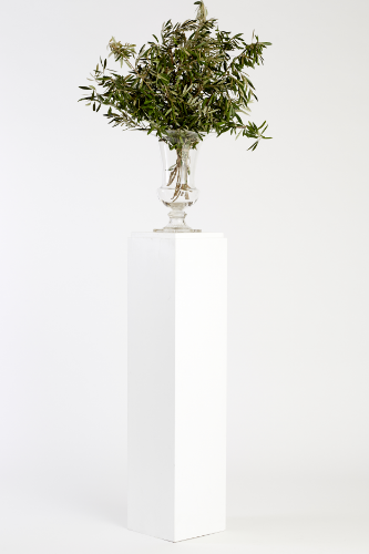 White Timber Plinths / Pedestal