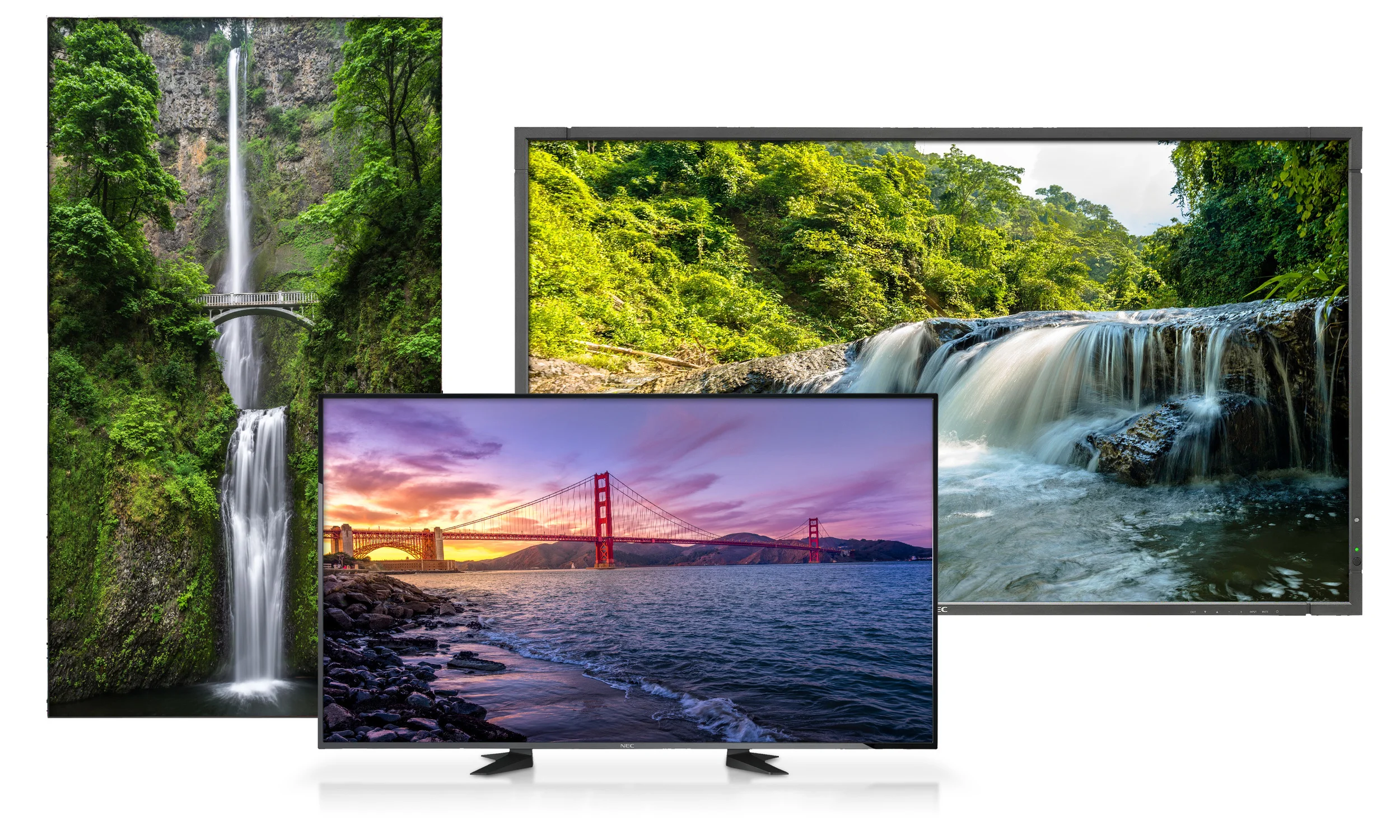 lifesize video conferencing