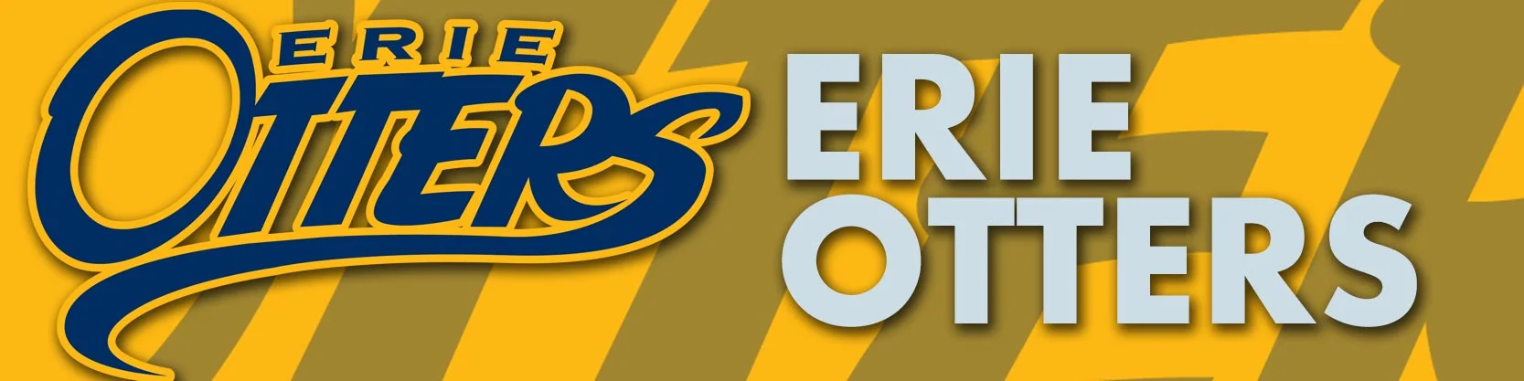 Erie-Banner.jpg