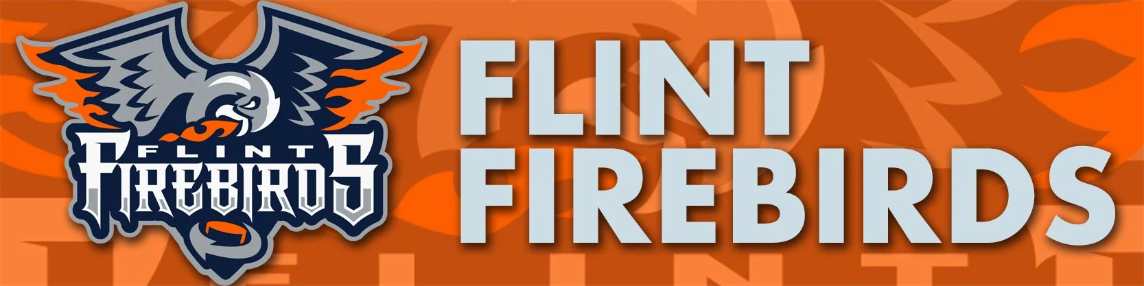Flint-Banner.jpg