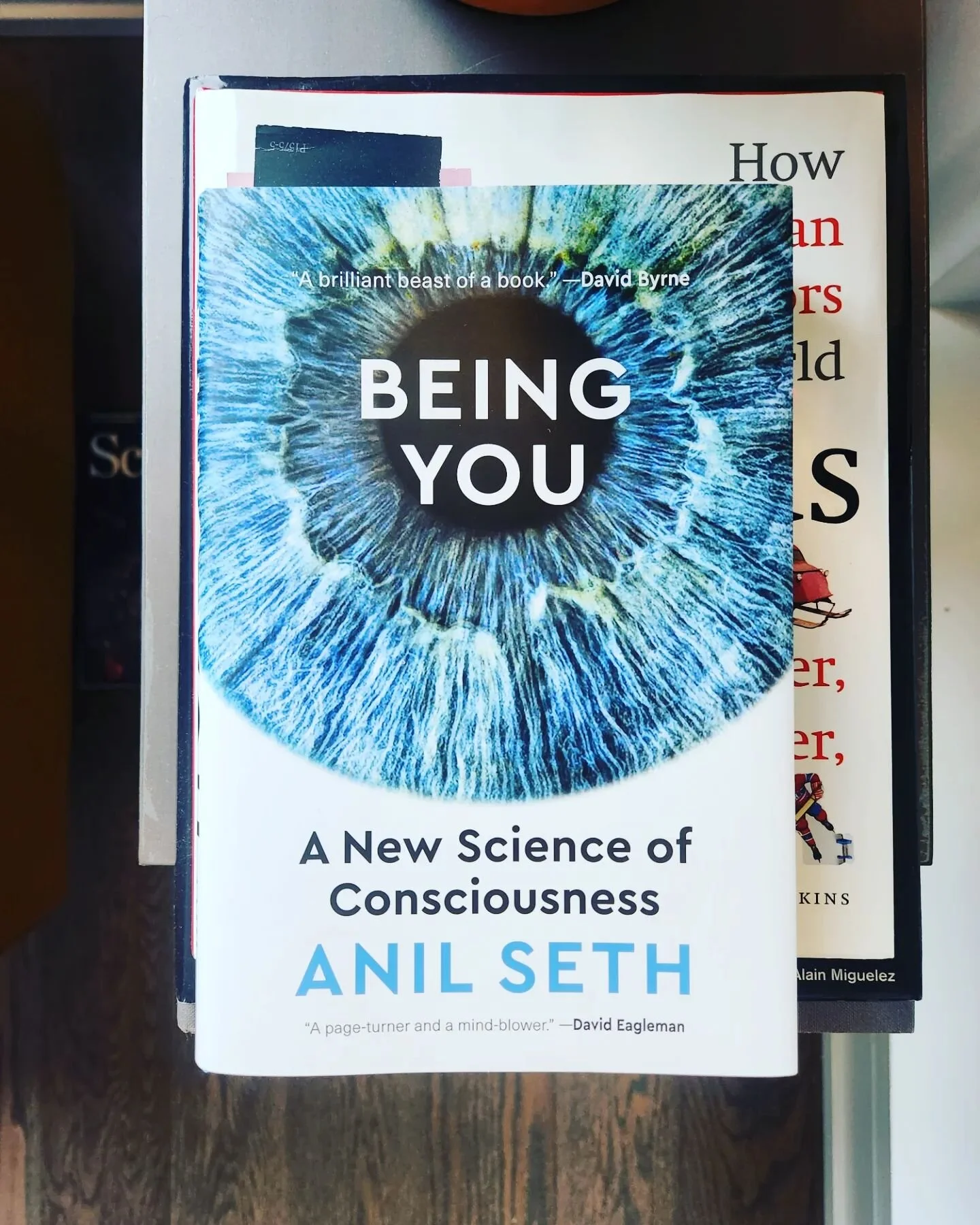 Snowy weekend. Two excellent books and flags at half mast. 

Understanding consciousness allows you to understand your relationships with greater depth (work and personal), refines your decision making, and opens the door to a new understanding of hu